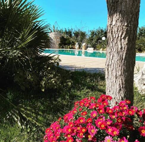 Relax @ Villa Cassano; pugliaholidayplus gallery image 4