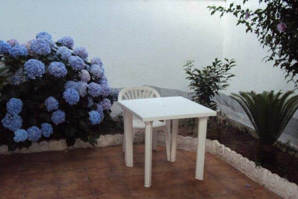 vista giardino