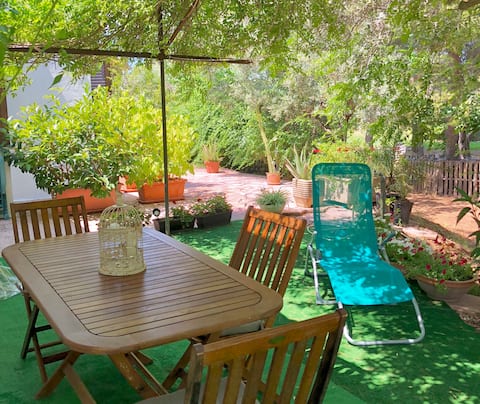 Proprietà Airbnb di successo: The little olive trees a Casarano