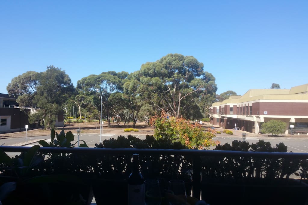 View from the balcony over to the University of South Australia