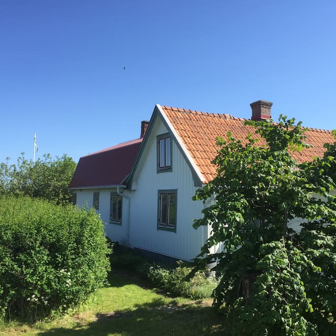 Main house