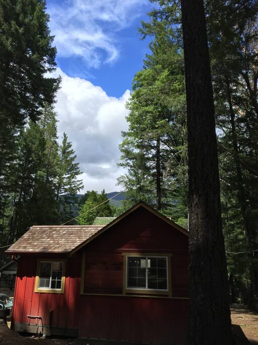 Simple Serene Cabin in Woods