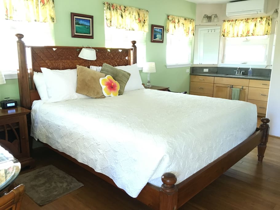 Well Equipped Suite with King Bed