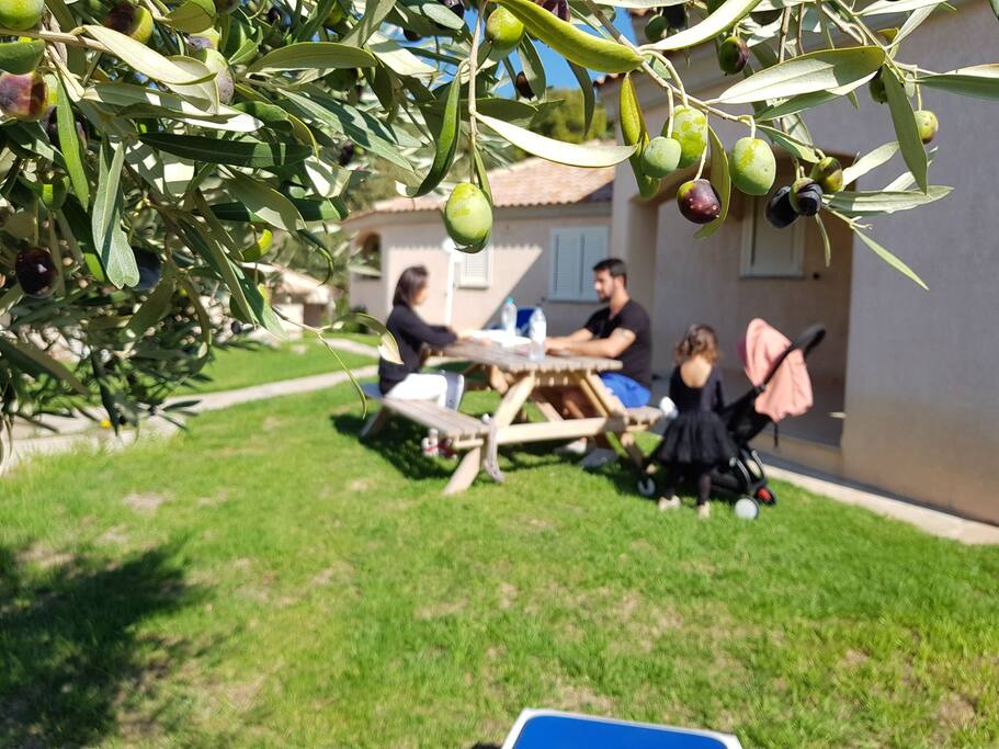 repas au soleil avec barbecue en pierre sur la terrasse.