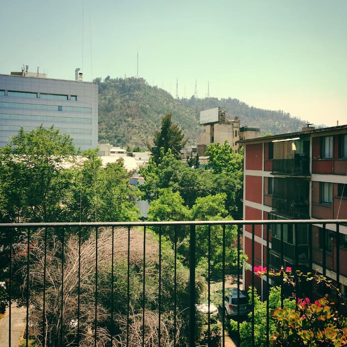 Vista desde balcón primer piso