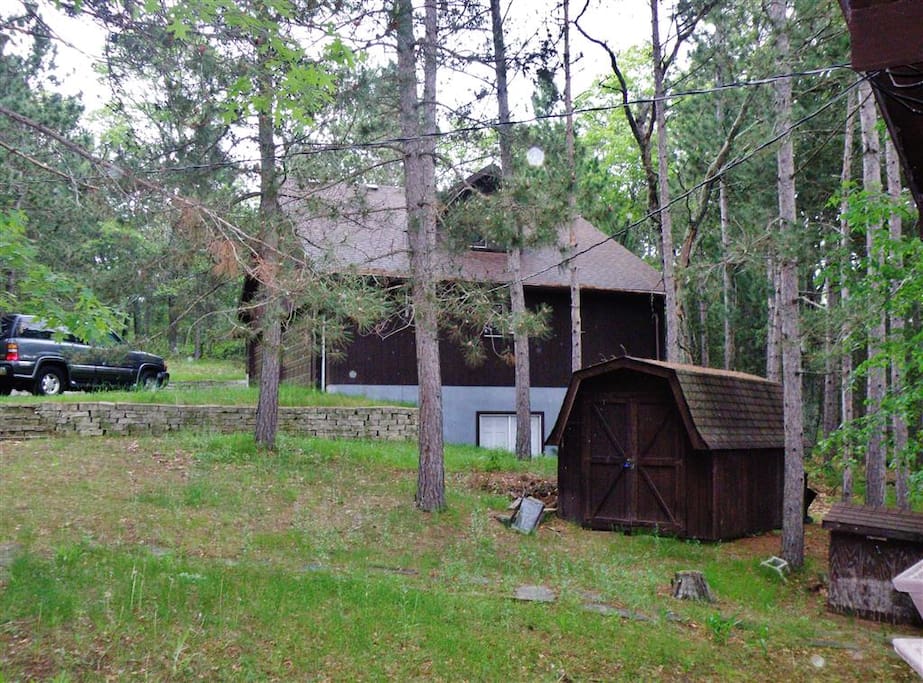 The cabin is surrounded by towering pines.