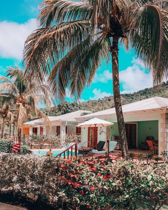 The image showcases a charming villa surrounded by lush tropical gardens. Palm trees provide shade over sun loungers beside a private plunge pool. Colorful flowering plants line the pathway leading to the villa's inviting entrance, complemented by a clear blue sky.