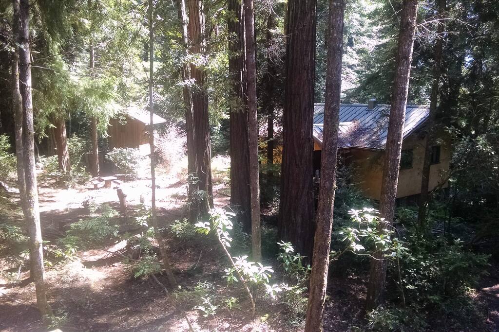 Nichols Lane Property