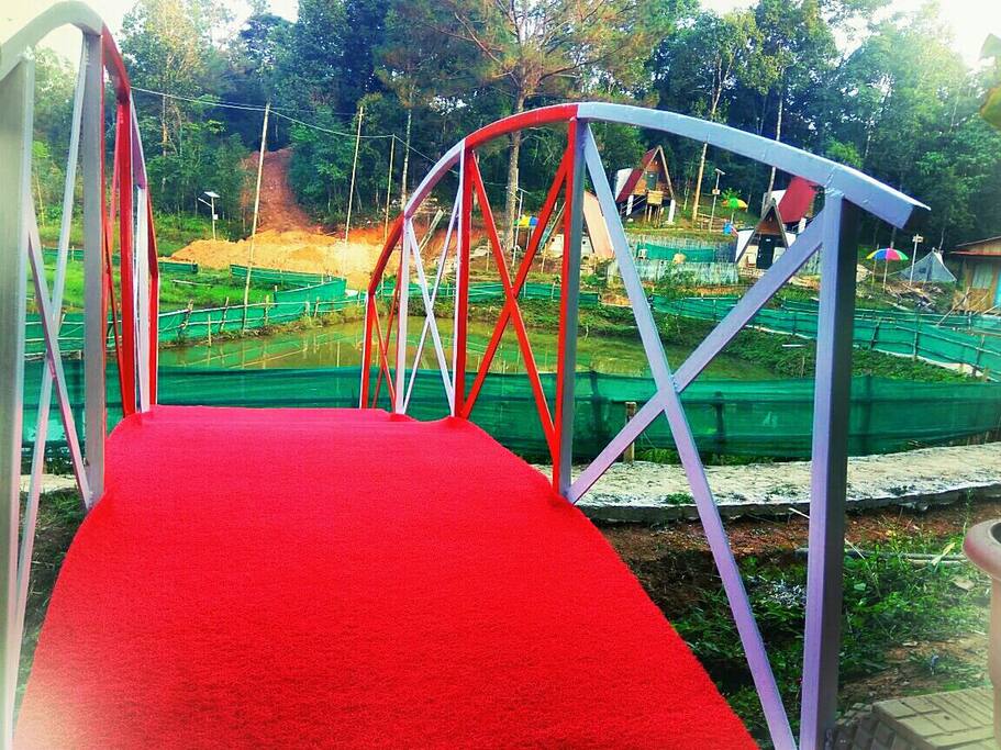 Outdoor area