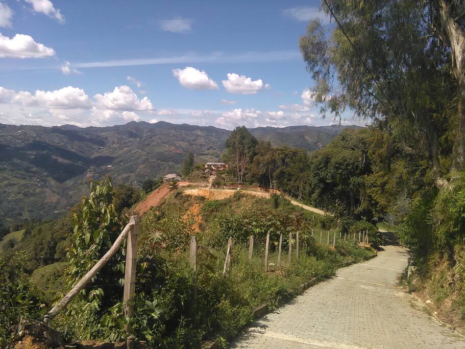 Way home