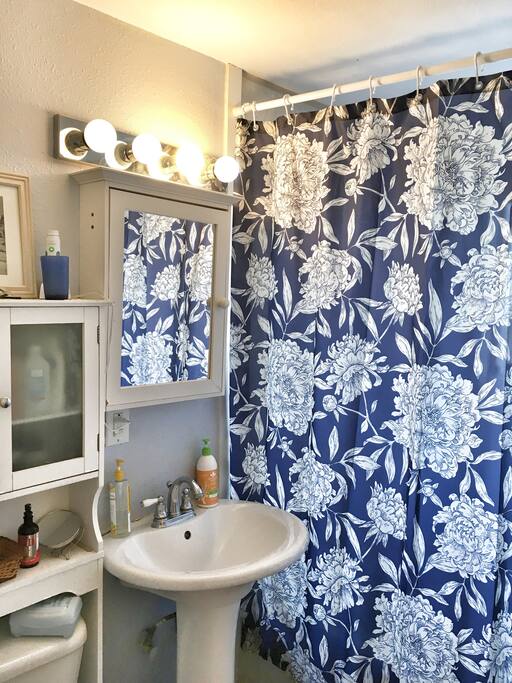 Guest bathroom