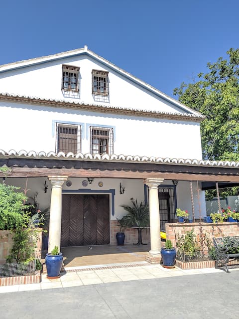 THE NOGUERA OF BAENA