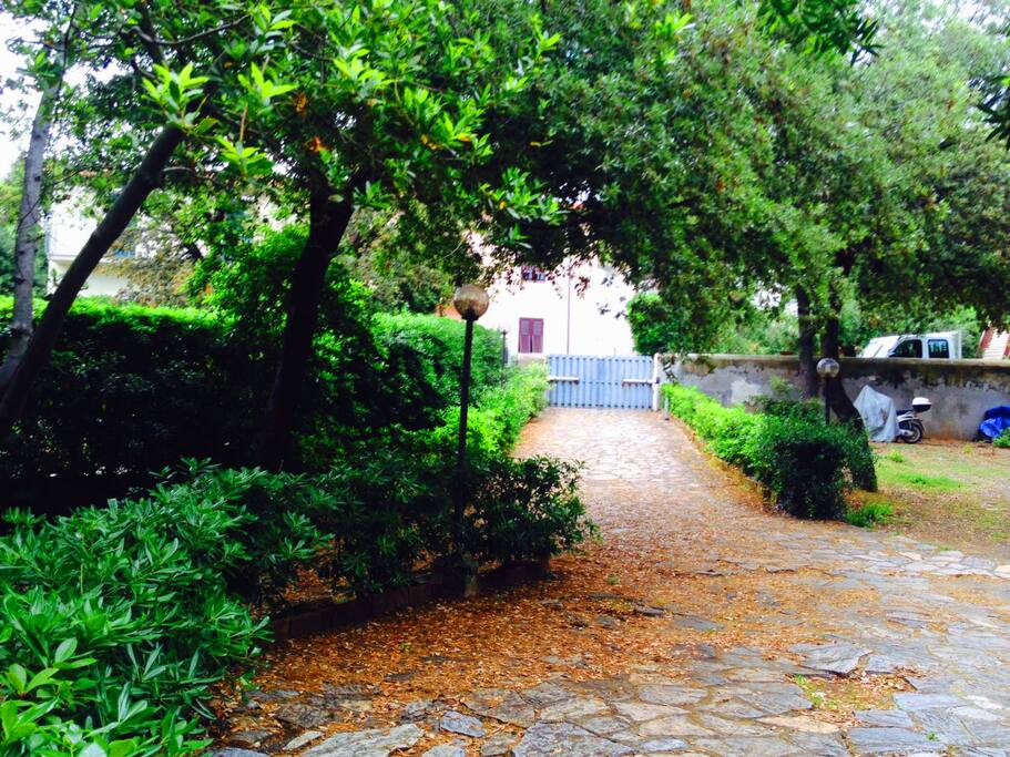Entrata - Entry