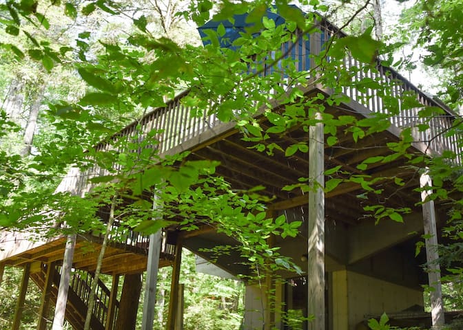 Treehouse Cozy Cottage On Babbling Brook Cottages For Rent In