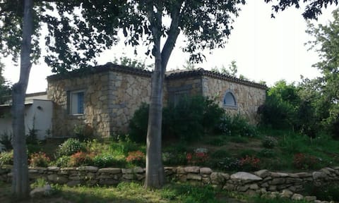 The country home by the sea