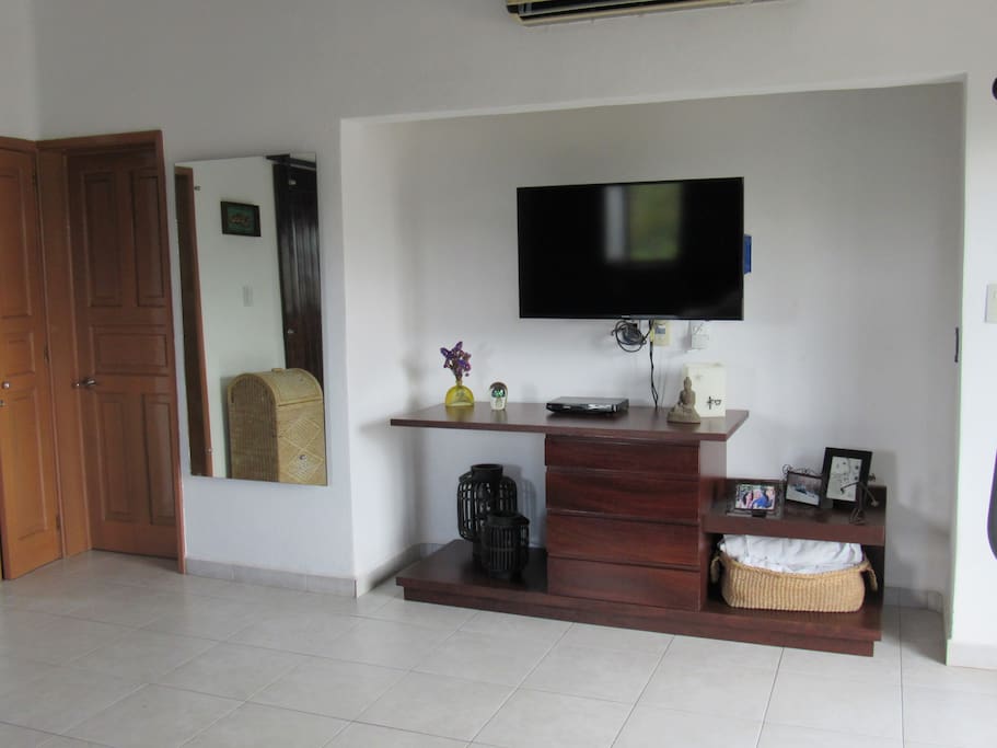 smart tv and walk in closet