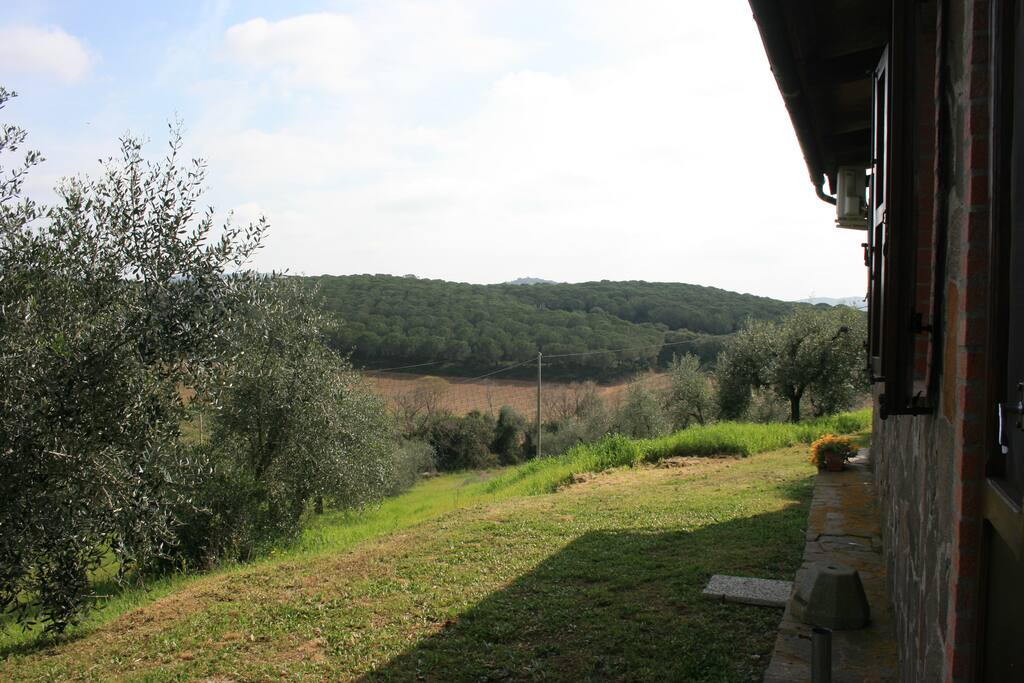 Il giardino davanti all' alloggio