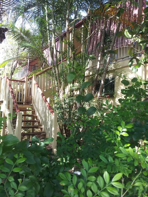 These are the front steps leading up to a small balcony and the front door. So the balcony looks out onto palm trees and foliage.