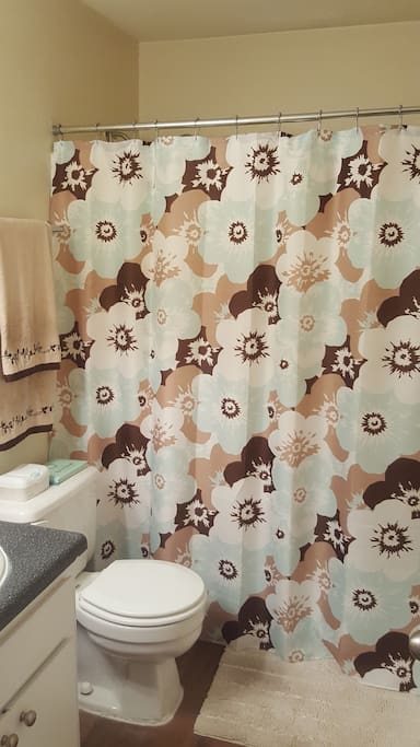 Shower over tub bathroom in front hallway, just outside of first bedroom.