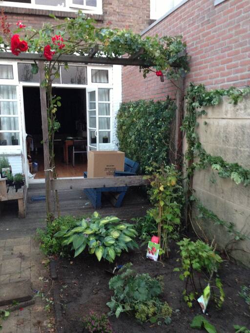 Tuin/ Garden