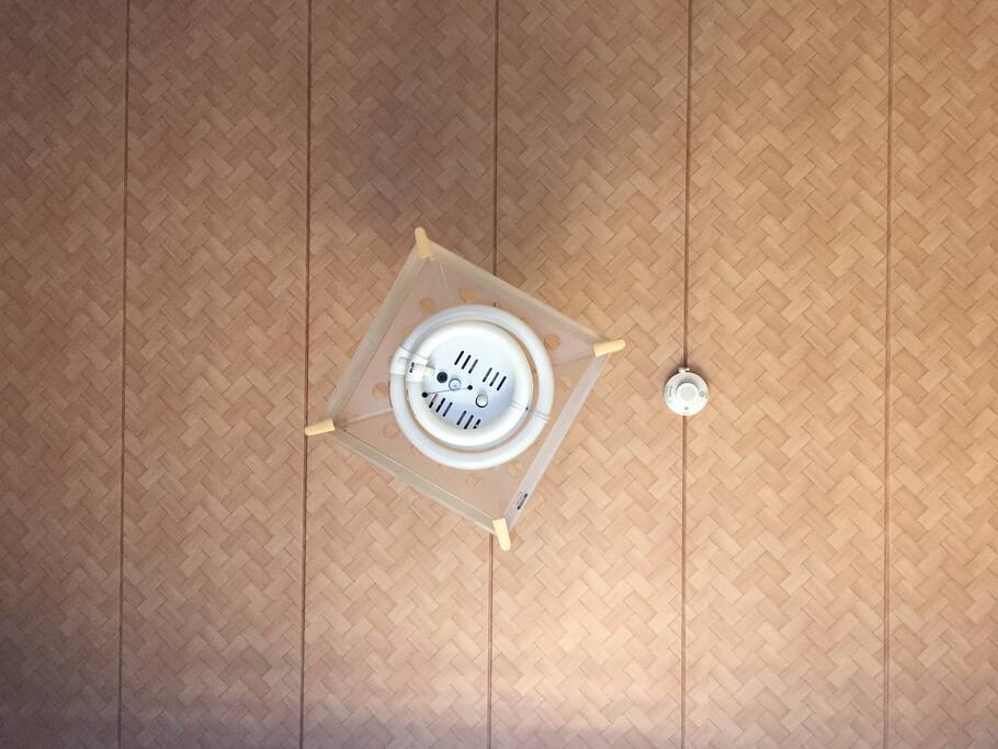 網代模様の天井