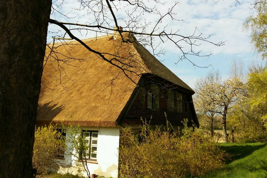 Das alte Pfarrhaus