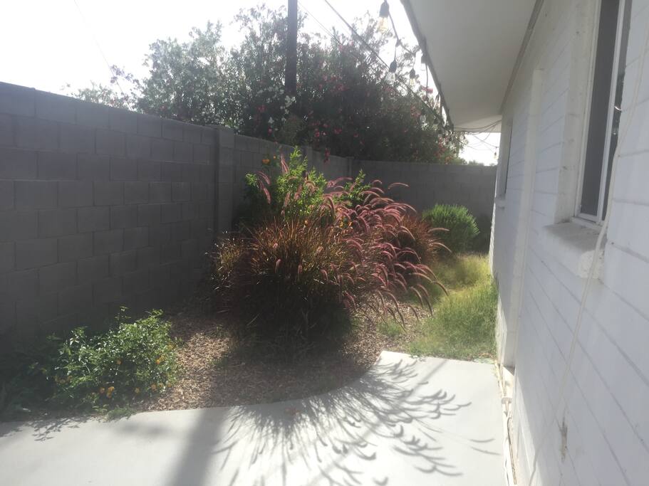 Plenty of room to roam in the backyard.