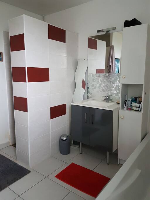 salle de bains douche et lavabo