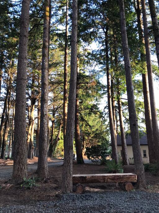 seating and or tent area