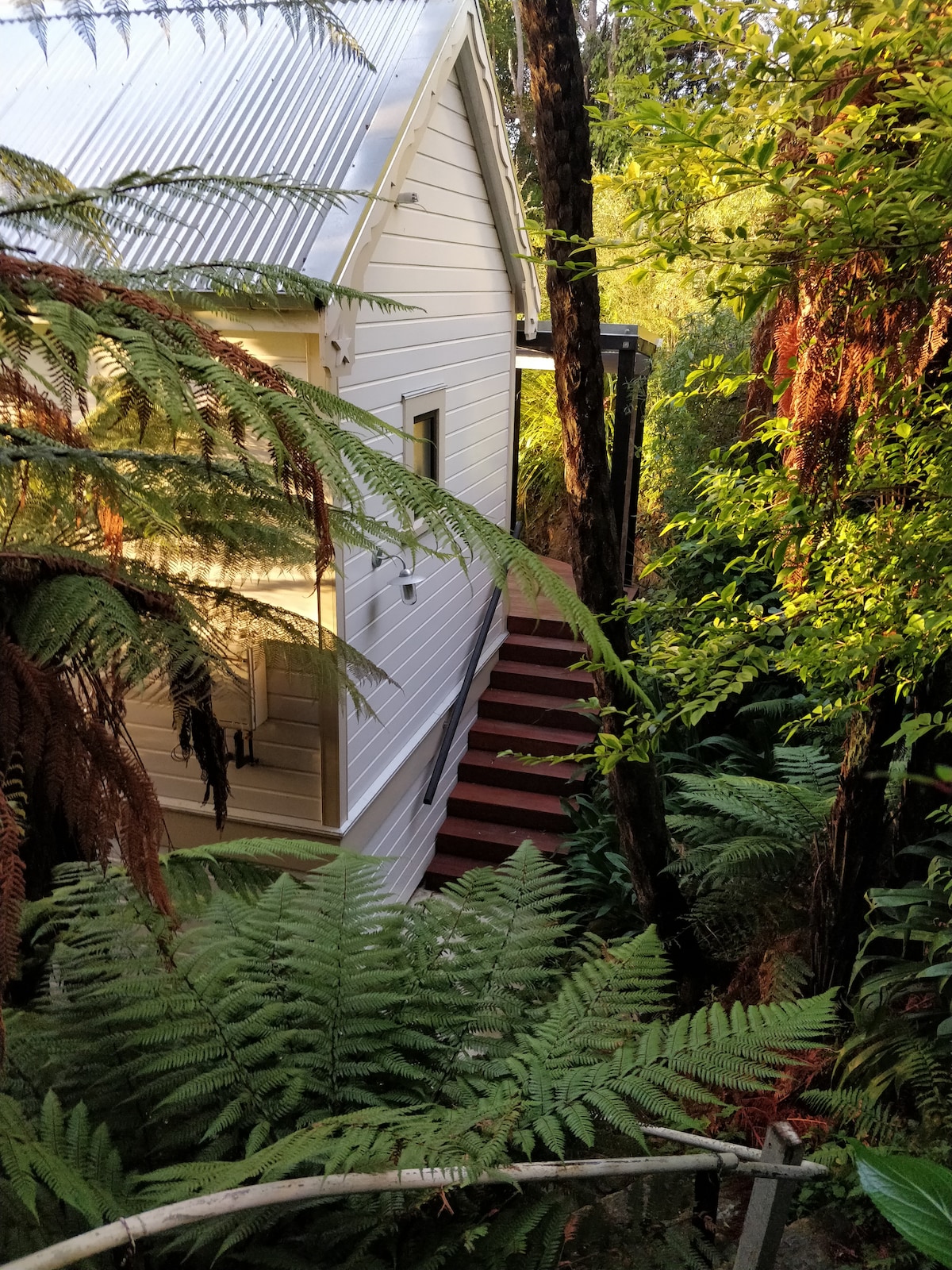 The guesthouse is nestled among vibrant green ferns and trees, providing a sense of privacy. A wooden staircase leads up to the entrance, framed by foliage. The structure features a light-colored exterior with large windows that blend harmoniously with the natural surroundings.