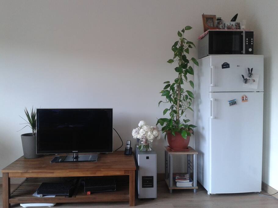 Télévision HD, frigo avec grande capacité et micro-onde