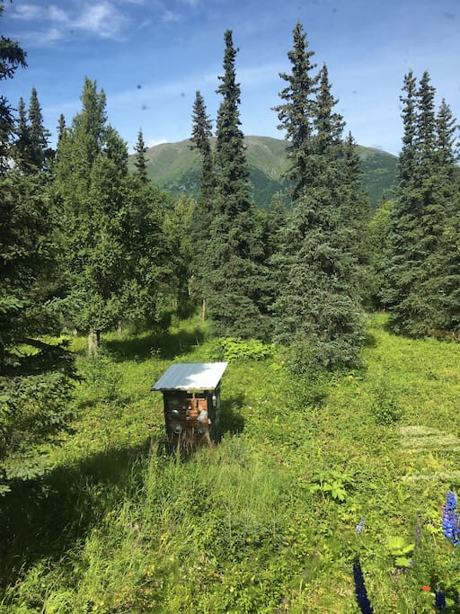 Summertime mountain views from the outhouse :)