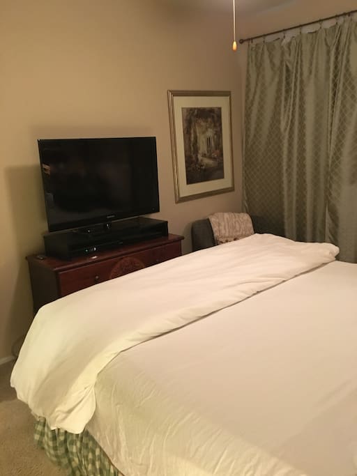 Large HD TV, Netflix available.