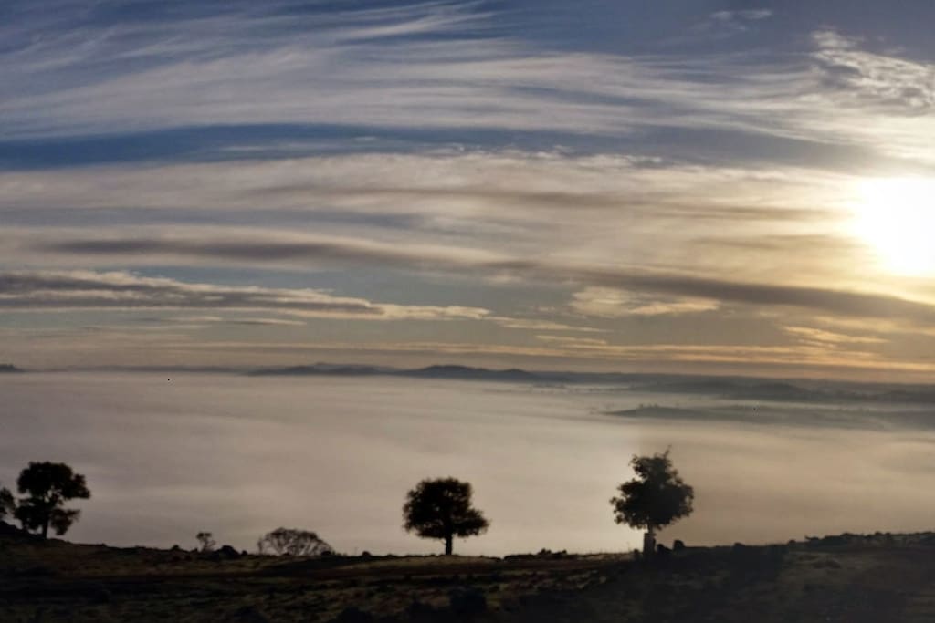 Sunrise in August in Boorowa