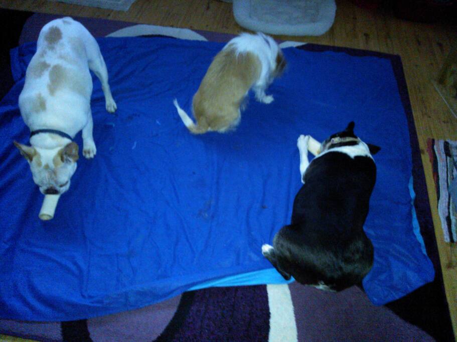 The other three residents.