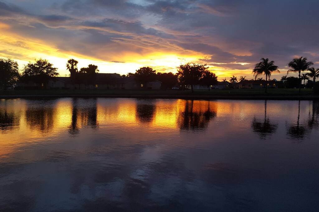 Your evening view