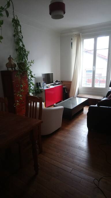 Quelle belle plante dans un très joli salon!