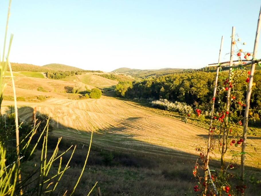 The view towards the village.