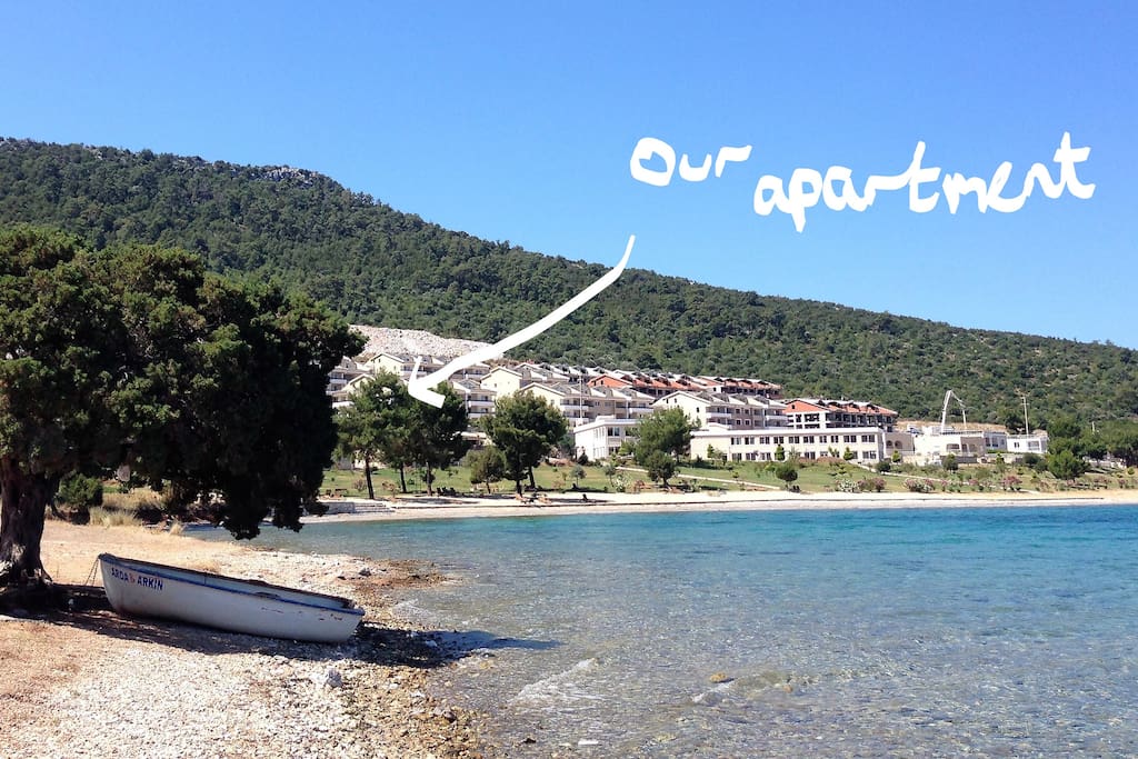 Apartments are situated in pine forest