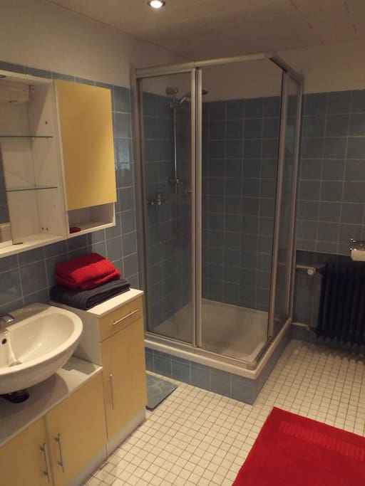 Großes Badezimmer mit Dusche, WC und zwei Waschbecken mit passendem Stauraum.