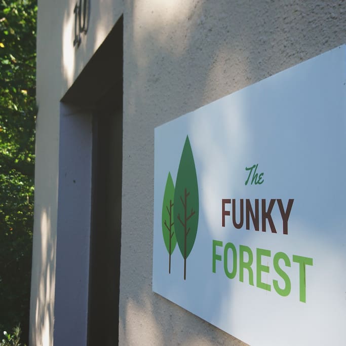 The Funky Forest