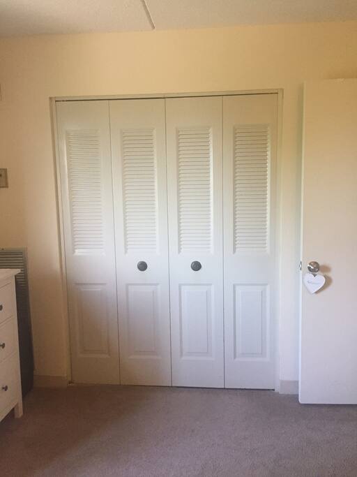 Closet in the room