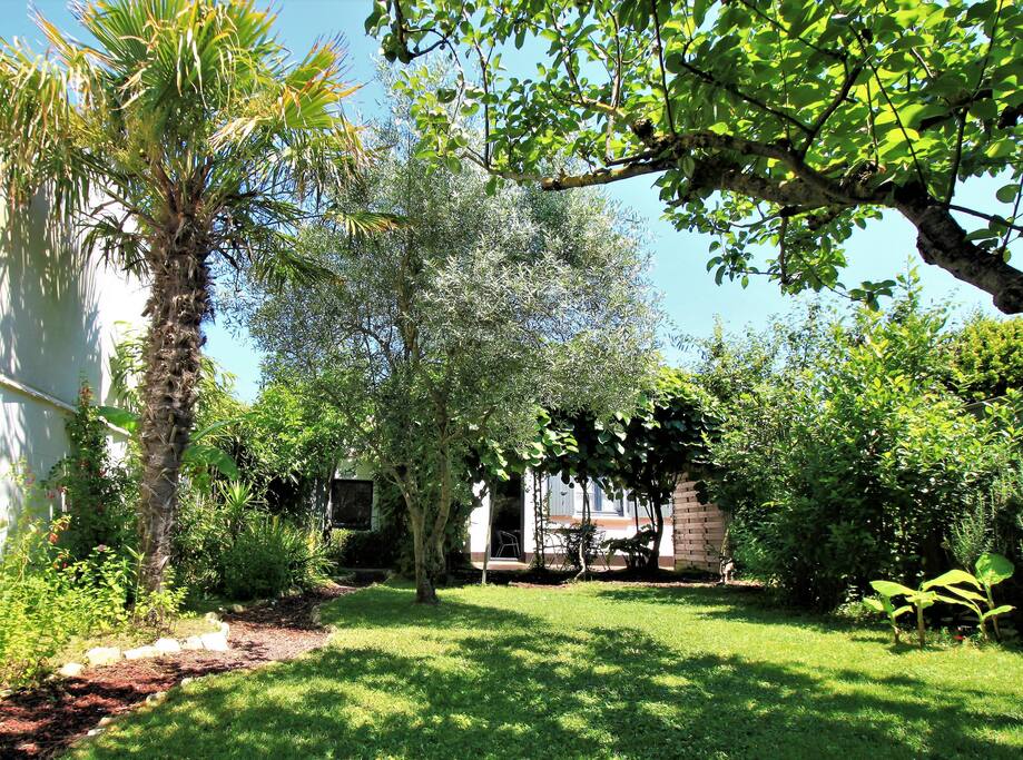 jardin