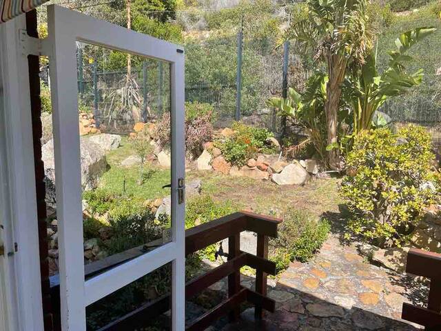 Between Mountain and Sea gallery image 5