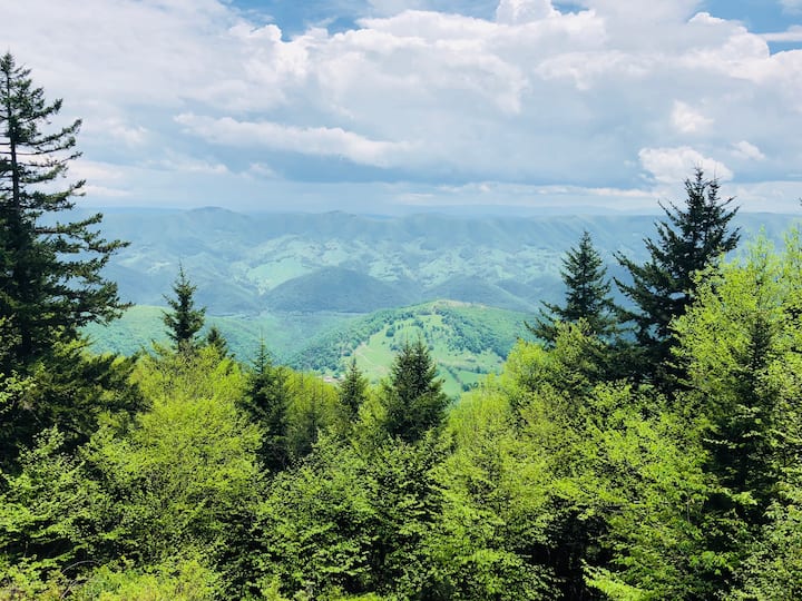 Top 8 Airbnb Vacation Rentals In Elkins, West Virginia Updated 2024