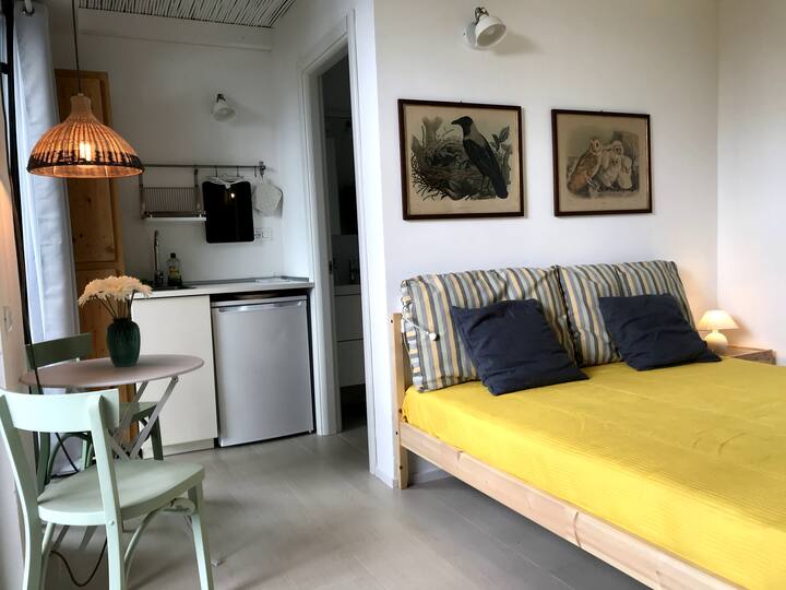 เดเพนเดนซ์