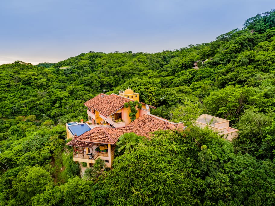 Beautiful green nature surrounding the house (left side view).