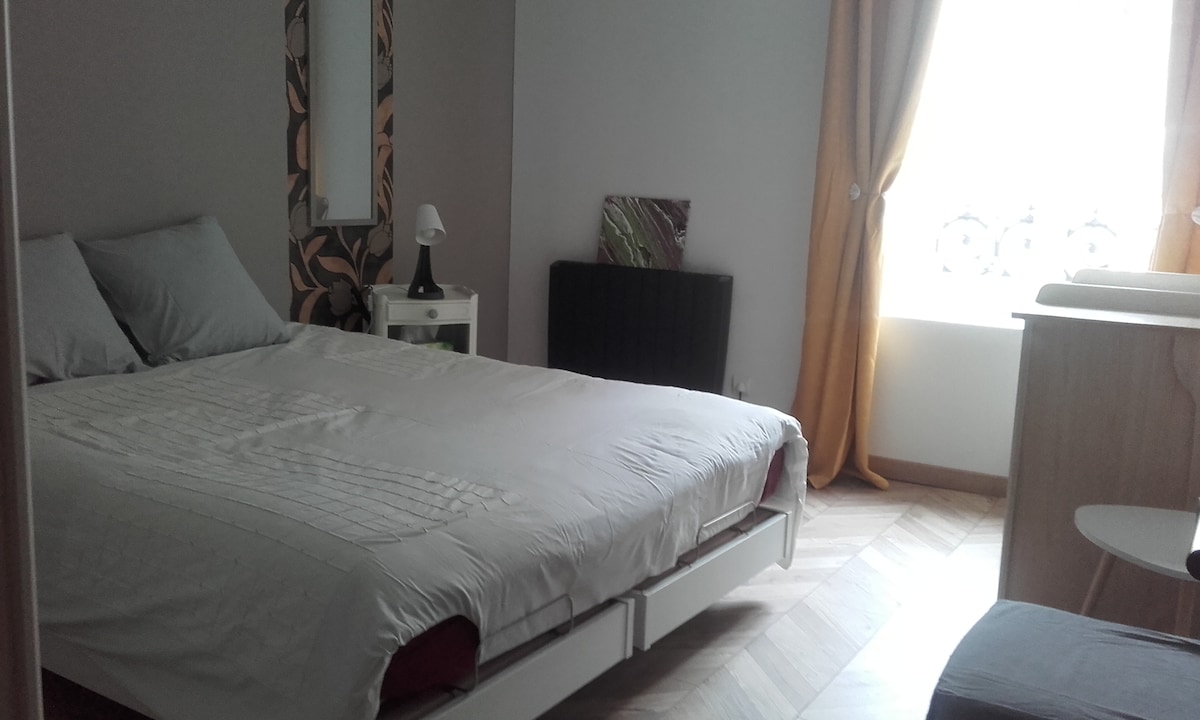 Chumba cha kulala na vitanda 2 vya umeme