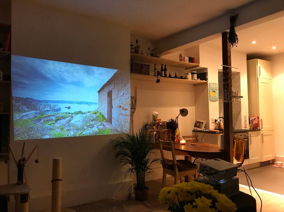 Projector movie night.