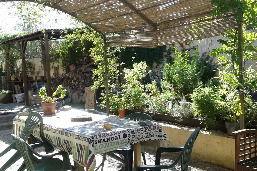 Déjeuner sous la pergola